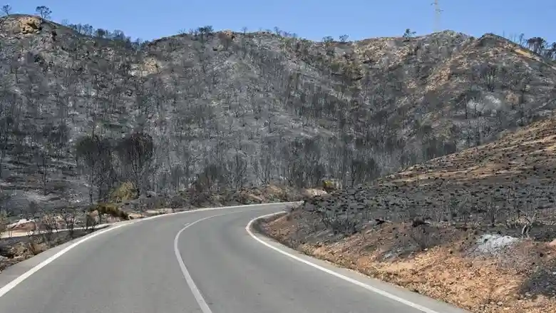British couple rescued from Spain wildfire ravine in critical condition